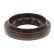 Shaft Seal, differential