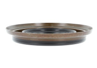 Shaft Seal, differential