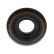 Shaft Seal, differential, Thumbnail 4