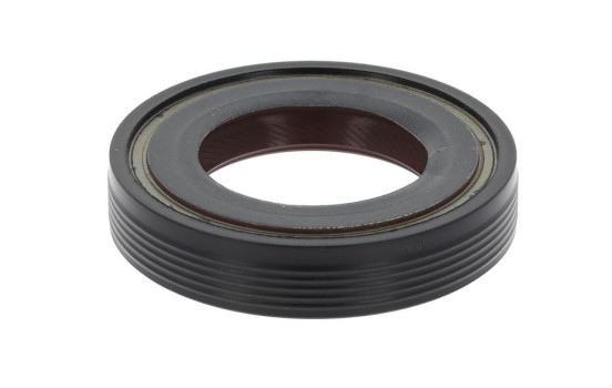Shaft Seal, differential