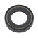 Shaft Seal, differential, Thumbnail 2