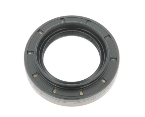 Shaft Seal, differential