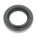 Shaft Seal, differential