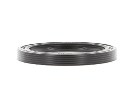 Shaft Seal, differential