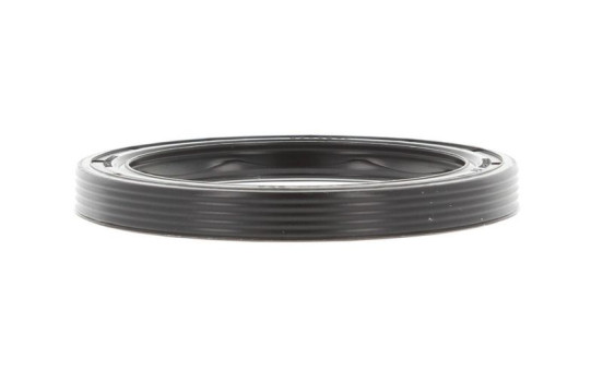 Shaft Seal, differential