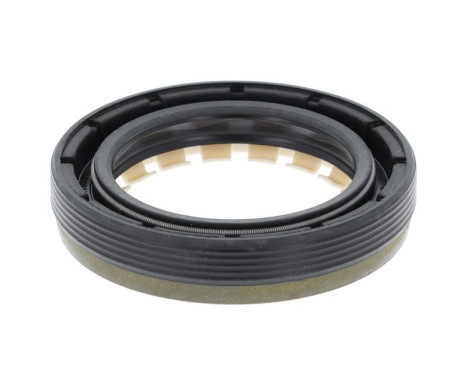 Shaft Seal, differential