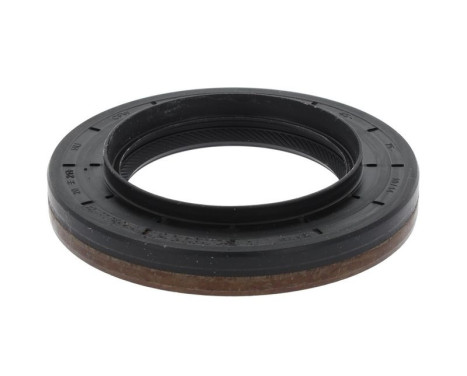 Shaft Seal, differential