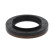 Shaft Seal, differential