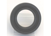 Shaft Seal, differential