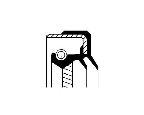 Shaft Seal, differential