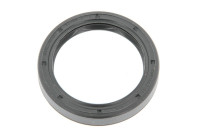 Shaft Seal, differential