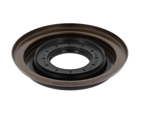 Shaft Seal, differential