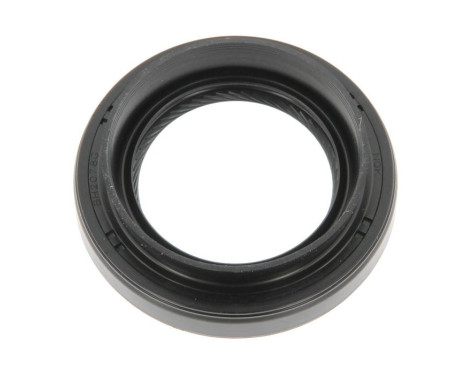 Shaft Seal, differential