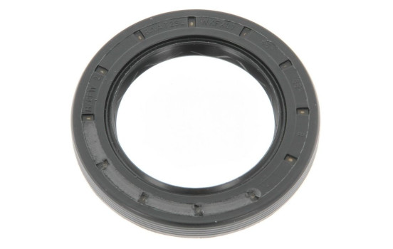 Shaft Seal, differential