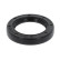 Shaft Seal, differential, Thumbnail 2