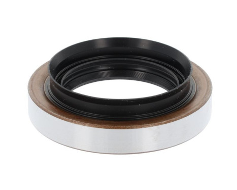 Shaft Seal, differential