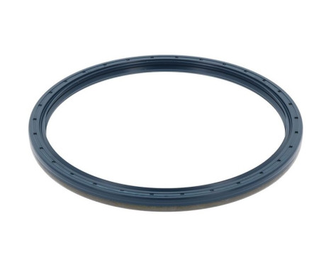 Shaft Seal, differential