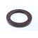 Shaft Seal, differential