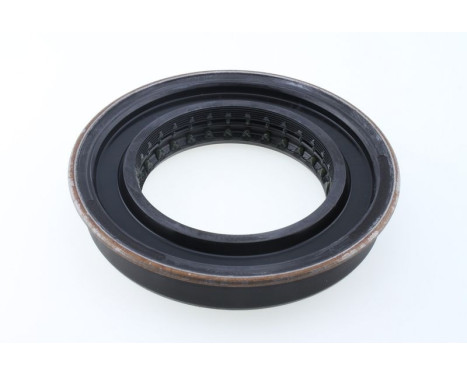 Shaft Seal, differential