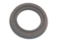Shaft Seal, differential