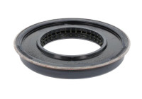 Shaft Seal, differential