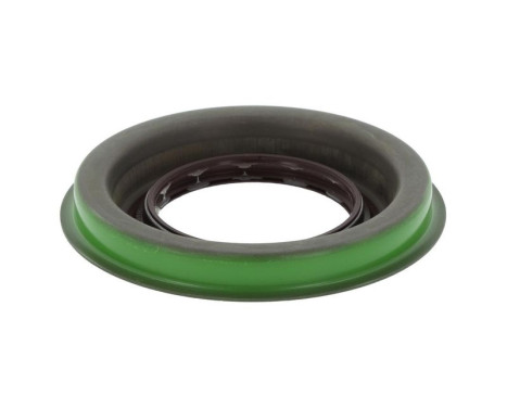 Shaft Seal, differential