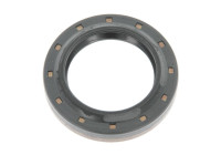 Shaft Seal, differential