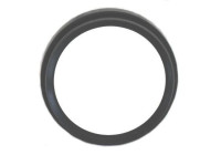 Shaft Seal, differential