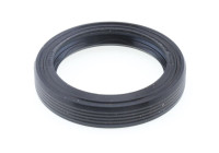 Shaft Seal, differential