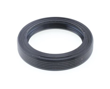 Shaft Seal, differential