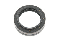 Shaft Seal, differential