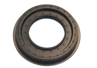 Shaft Seal, differential