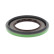 Shaft Seal, differential