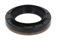 Shaft Seal, differential