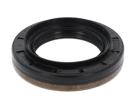 Shaft Seal, differential