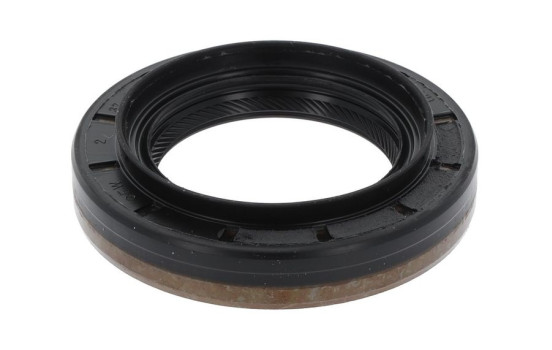 Shaft Seal, differential