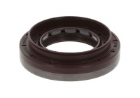 Shaft Seal, differential
