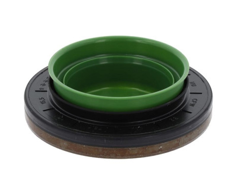 Shaft Seal, differential