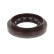 Shaft Seal, differential