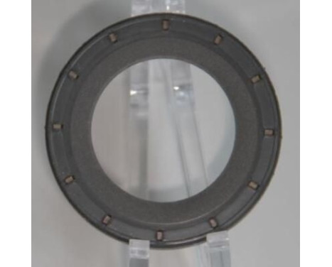 Shaft Seal, differential