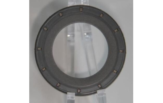 Shaft Seal, differential