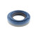 Shaft Seal, differential