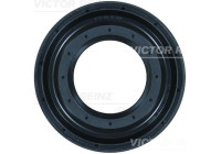 Shaft Seal, differential