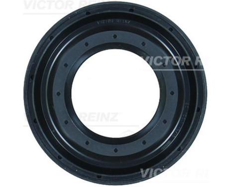 Shaft Seal, differential