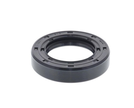 Shaft Seal, differential