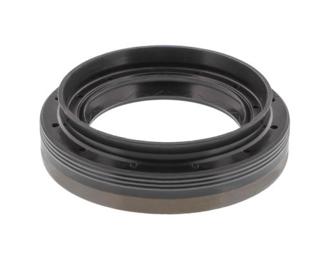 Shaft Seal, differential