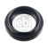 Oil seal, gear 185284 FEBI