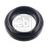 Oil seal, gear 185284 FEBI