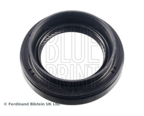 Oil seal, gear