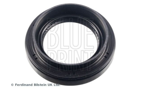 Oil seal, gear